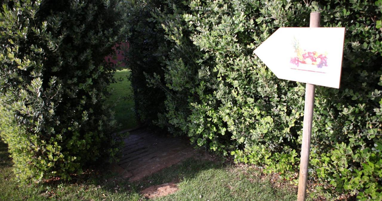 Villa Woof & Sun Esmoriz Esterno foto